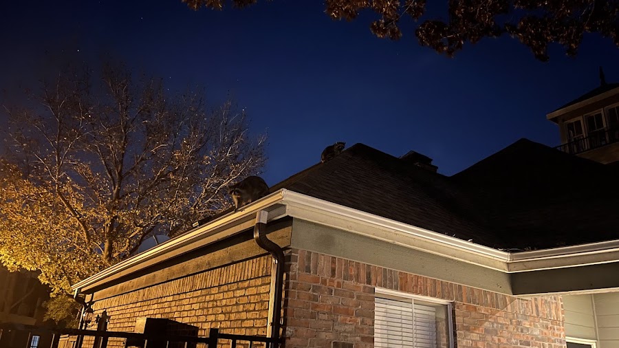 Riverchase apartments at 600 S MacArthur Blvd, Coppell, TX